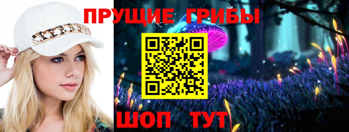 Псилоцибиновые грибы мицелий  Вход с VPN  Черногорск  купить  цена  Псилоцибиновые грибы Psilocybe 
