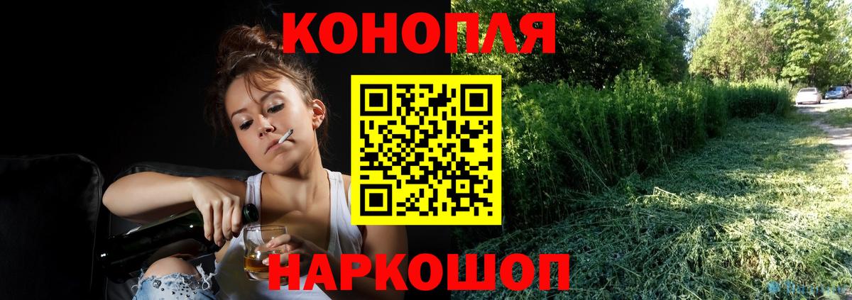 Бошки Шишки сатива Черногорск